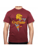 Camiseta adulto Harry Potter - Gryffindor Talla XL